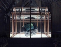 El proyecto se basa en datos de colágeno -una proteína clave en la estructura de la piel- extraídos de fragmentos hallados en fósiles atribuidos a este dinosaurio. EFE/Lab-grown Leather Ltd/ Bsf