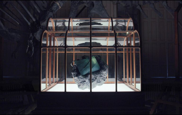 El proyecto se basa en datos de colágeno -una proteína clave en la estructura de la piel- extraídos de fragmentos hallados en fósiles atribuidos a este dinosaurio. EFE/Lab-grown Leather Ltd/ Bsf