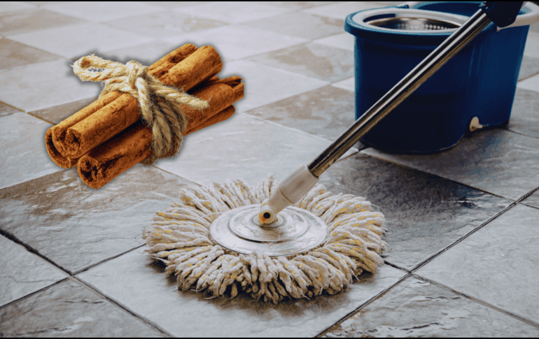 Si buscas una solución sencilla, económica y natural, la canela puede ser tu mejor aliada para combatir insectos. ESPECIAL / CANVA