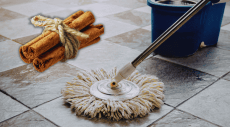 Si buscas una solución sencilla, económica y natural, la canela puede ser tu mejor aliada para combatir insectos. ESPECIAL / CANVA