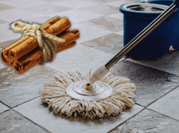 Si buscas una solución sencilla, económica y natural, la canela puede ser tu mejor aliada para combatir insectos. ESPECIAL / CANVA