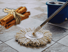 Si buscas una solución sencilla, económica y natural, la canela puede ser tu mejor aliada para combatir insectos. ESPECIAL / CANVA