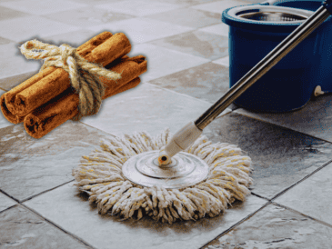 Si buscas una solución sencilla, económica y natural, la canela puede ser tu mejor aliada para combatir insectos. ESPECIAL / CANVA