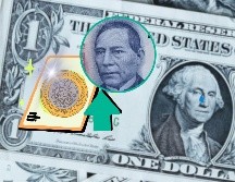 Consulta el precio de compra y venta del dólar en México; el peso mexicano se aprecia al inicio de este jueves. UNSPLASH / A. Grey / ESPECIAL