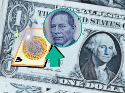Consulta el precio de compra y venta del dólar en México; el peso mexicano se aprecia al inicio de este jueves. UNSPLASH / A. Grey / ESPECIAL