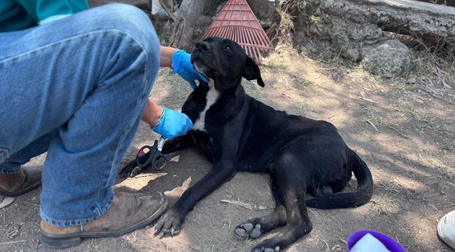 Tras ser localizado, 