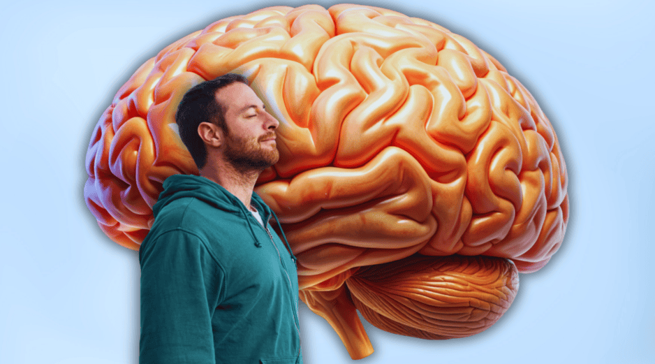 Un ritmo de respiración regular permite que el cerebro prediga las siguientes inhalaciones, manteniendo un estado de calma y orden. ESPECIAL / CANVA