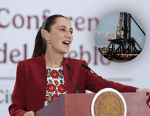 La propuesta contempla la creación de un comité científico encargado. EFE/M. Guzmán