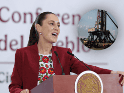 La propuesta contempla la creación de un comité científico encargado. EFE/M. Guzmán