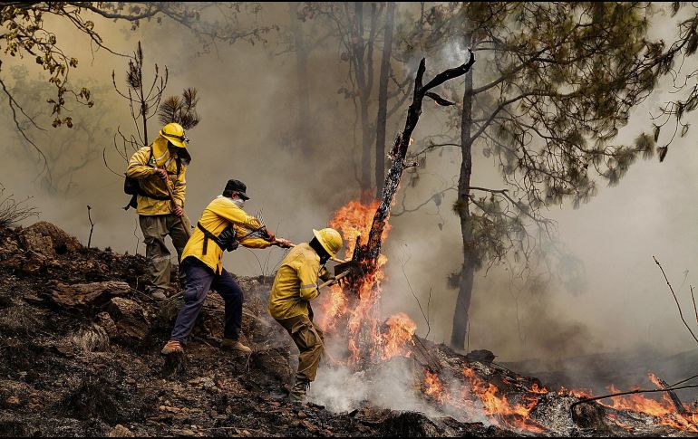 Brigadistas forestales refuerzan labores de prevención y combate durante la temporada crítica de estiaje en diversas regiones del país. Jalisco es actualmente el quinto lugar con más bosques afectados por incendios. ESPECIAL