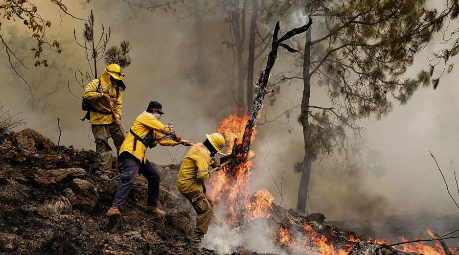 Brigadistas forestales refuerzan labores de prevención y combate durante la temporada crítica de estiaje en diversas regiones del país. Jalisco es actualmente el quinto lugar con más bosques afectados por incendios. ESPECIAL