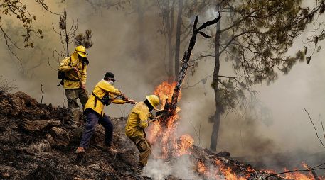 Brigadistas forestales refuerzan labores de prevención y combate durante la temporada crítica de estiaje en diversas regiones del país; Jalisco es actualmente el quinto lugar con más bosques afectados por incendios. ESPECIAL