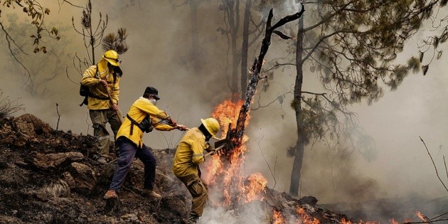 Incendios forestales: La Conafor refuerza brigadas ante temporada seca