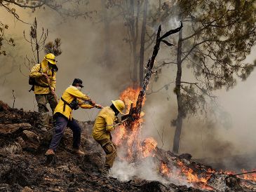 Brigadistas forestales refuerzan labores de prevención y combate durante la temporada crítica de estiaje en diversas regiones del país. Jalisco es actualmente el quinto lugar con más bosques afectados por incendios. ESPECIAL