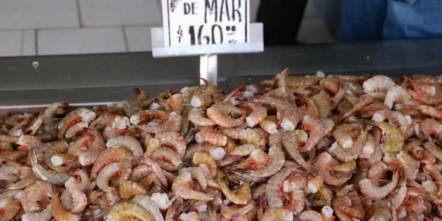 El virus en mariscos: &iquest;Qu&eacute; es el nodavirus y cu&aacute;les son sus s&iacute;ntomas?