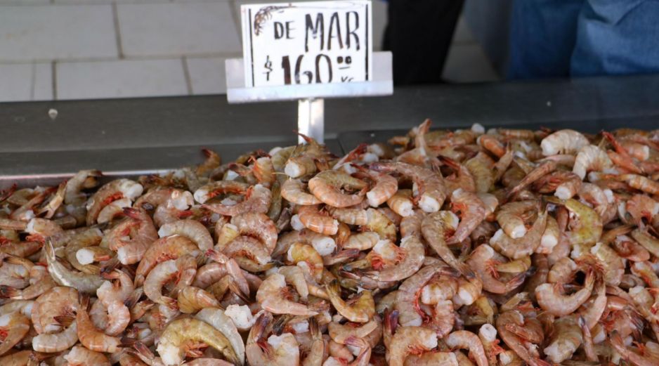 El nodavirus se presentaba en animales marinos, ahora ha pasado a los humanosEL INFORMADOR / ARCHIVO