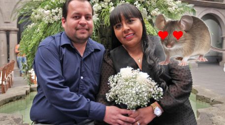 Según un estudio, estos son los animales que muestran mayor monogamia reproductiva como especie. EL INFORMADOR / ARCHIVO