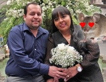 Según un estudio, estos son los animales que muestran mayor monogamia reproductiva como especie. EL INFORMADOR / ARCHIVO