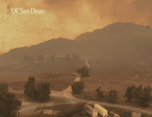 El programa de carpintería del LATTC dura cuatro semestres y exige unas 25 horas semanales. AP/ UC SAN DIEGO