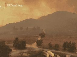 El programa de carpintería del LATTC dura cuatro semestres y exige unas 25 horas semanales. AP/ UC SAN DIEGO