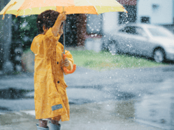 Si sale en estos días aléjate de lugares próximos a muros, árboles, cables de luz y espectaculares en visible riesgo de caer. CANVA