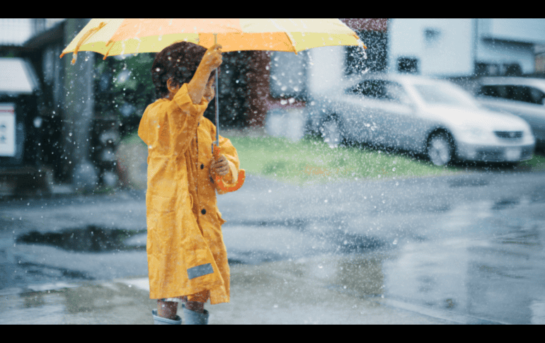 Si sale en estos días aléjate de lugares próximos a muros, árboles, cables de luz y espectaculares en visible riesgo de caer. CANVA