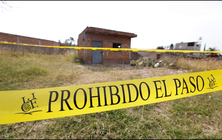 Entre los indicios encontrados en el Rancho Izaguirre se encuentran restos óseos fragmentados, placas y piezas dentales. EFE/ARCHIVO