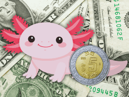 Al menudeo, el dólar se terminó vendiendo en 17.71 pesos en ventanillas de Banamex y significó una baja de 60 centavos en la semana. ESPECIAL / CANVA