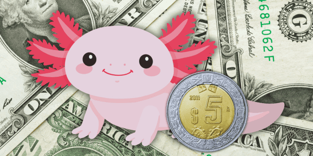 D&oacute;lar HOY: El peso mexicano sorprende y cierra la semana en 17.30; vive su mejor racha desde 2024