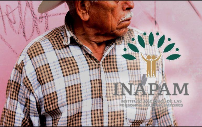 Denominado Vinculación Productiva, este programa es para aquellas personas que cuentan con su credencial del INAPAM, con la que pueden postularse para algún puesto de trabajo. ESPECIAL / EL INFORMADOR y CANVA