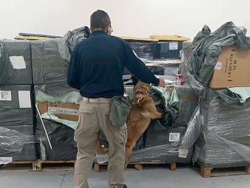 Perro especializado en detección olfatea el cargamento asegurado en el AICM durante la revisión de mercancía irregular. ESPECIAL