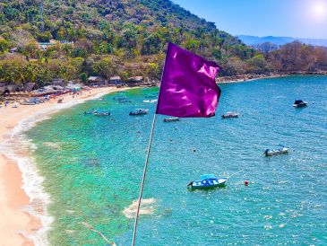 Ignorar una bandera morada por el simple deseo de nadar un rato puede resultar en una visita de emergencia al hospital. ESPECIAL / CANVA