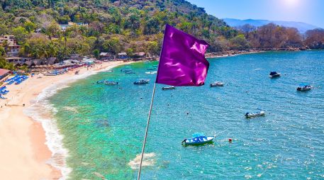 Ignorar una bandera morada por el simple deseo de nadar un rato puede resultar en una visita de emergencia al hospital. ESPECIAL / CANVA