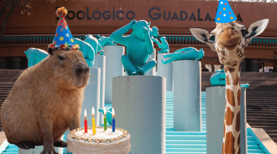 Si planeas aprovechar esta increíble promoción, te recordamos que el Zoológico Guadalajara se encuentra muy cerca de la Barranca de Huentitán. ESPECIAL/ EL INFORMADOR/ ARCHIVO/ Unsplash