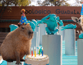 Si planeas aprovechar esta increíble promoción, te recordamos que el Zoológico Guadalajara se encuentra muy cerca de la Barranca de Huentitán. ESPECIAL/ EL INFORMADOR/ ARCHIVO/ Unsplash