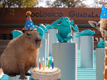 Si planeas aprovechar esta increíble promoción, te recordamos que el Zoológico Guadalajara se encuentra muy cerca de la Barranca de Huentitán. ESPECIAL/ EL INFORMADOR/ ARCHIVO/ Unsplash