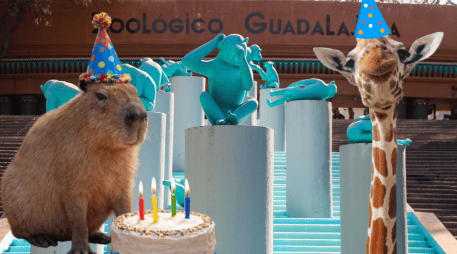 Si planeas aprovechar esta increíble promoción, te recordamos que el Zoológico Guadalajara se encuentra muy cerca de la Barranca de Huentitán. ESPECIAL/ EL INFORMADOR/ ARCHIVO/ Unsplash