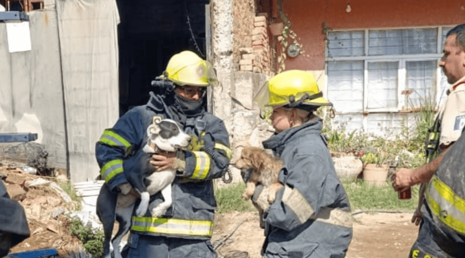  Durante las labores, una habitación con estructura de lámina colapsó, incrementando el riesgo, refirió la autoridad municipal. ESPECIAL / POLICÍA DE TÓNALA