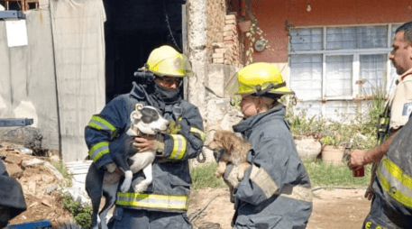  Durante las labores, una habitación con estructura de lámina colapsó, incrementando el riesgo, refirió la autoridad municipal. ESPECIAL / POLICÍA DE TÓNALA