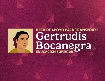 El apoyo consiste en un monto bimestral de mil 900 pesos. SECRETARÍA DEL BIENESTAR 