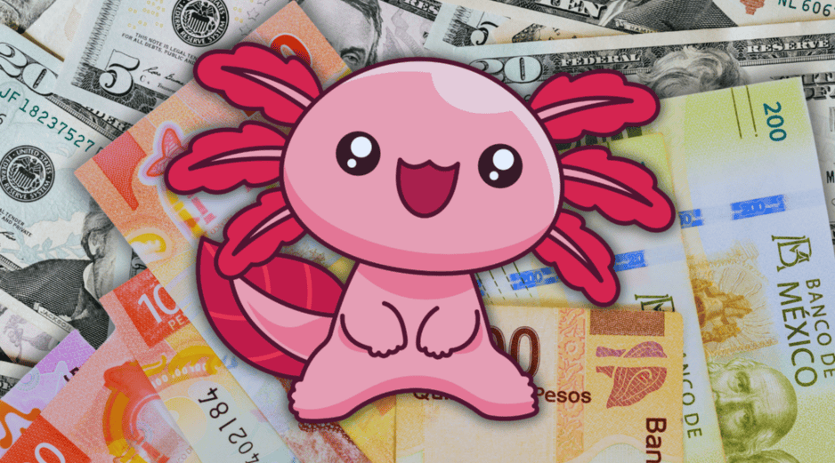 A pesar de la reciente incertidumbre global que suele golpear a las divisas emergentes, la moneda nacional se cotiza hoy en un promedio que oscila entre los 17.30 y 17.40 pesos por dólar estadounidense. ESPECIAL / CANVA