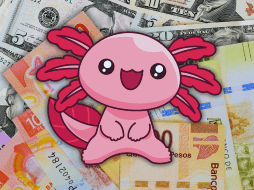 A pesar de la reciente incertidumbre global que suele golpear a las divisas emergentes, la moneda nacional se cotiza hoy en un promedio que oscila entre los 17.30 y 17.40 pesos por dólar estadounidense. ESPECIAL / CANVA