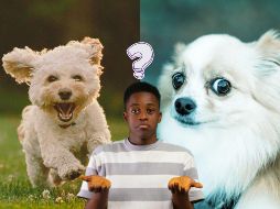 La clave de este tipo de evaluaciones radica en la espontaneidad; no debes analizar los detalles de la ilustración. UNSPLASH / M. Tresemer / J. Caione / Nachristos