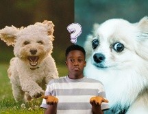 La clave de este tipo de evaluaciones radica en la espontaneidad; no debes analizar los detalles de la ilustración. UNSPLASH / M. Tresemer / J. Caione / Nachristos