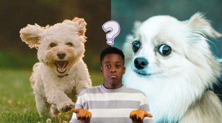 La clave de este tipo de evaluaciones radica en la espontaneidad; no debes analizar los detalles de la ilustración. UNSPLASH / M. Tresemer / J. Caione / Nachristos