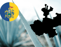 Descubrir la verdadera esencia de Jalisco es hoy más relevante que nunca para entender la identidad mexicana. CANVA