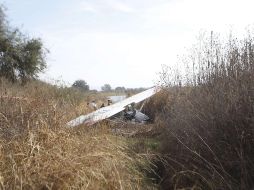 <La avioneta comenzó a volar en círculos y poco después desapareció del radar. EL INFORMADOR/ARCHIVO