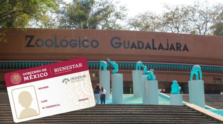 El apoyo no implica el ingreso sin costo, sino la aplicación de una tarifa preferencial. EL INFORMADOR/ARCHIVO