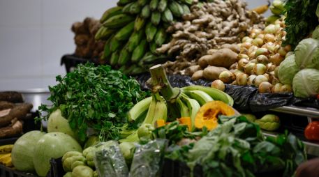 Acusan que neoliberalismo y Revolución Verde dañaron el campo, salud y ambiente, y elevaron importaciones.  EFE/ Bienvenido Velasco