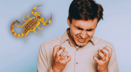 Descubre por qué confiar en tu mal genio podría costarte la vida ante la picadura de un alacrán y qué dice realmente la ciencia médica hoy. ESPECIAL / CANVA